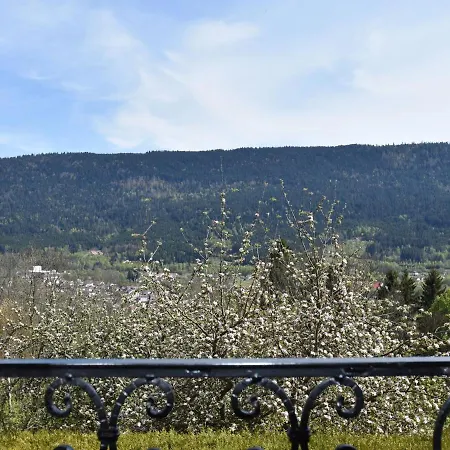 펜션 In Sur Moselotte *