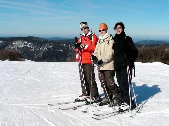 Prázdninový dům In Sur Moselotte *