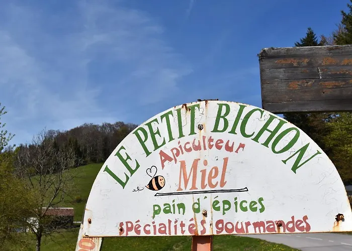 In Sur Moselotte Saulxures-sur-Moselotte