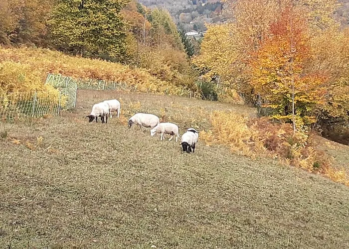 In Sur Moselotte Prázdninový dům *